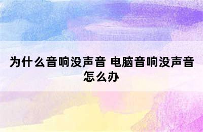 为什么音响没声音 电脑音响没声音怎么办